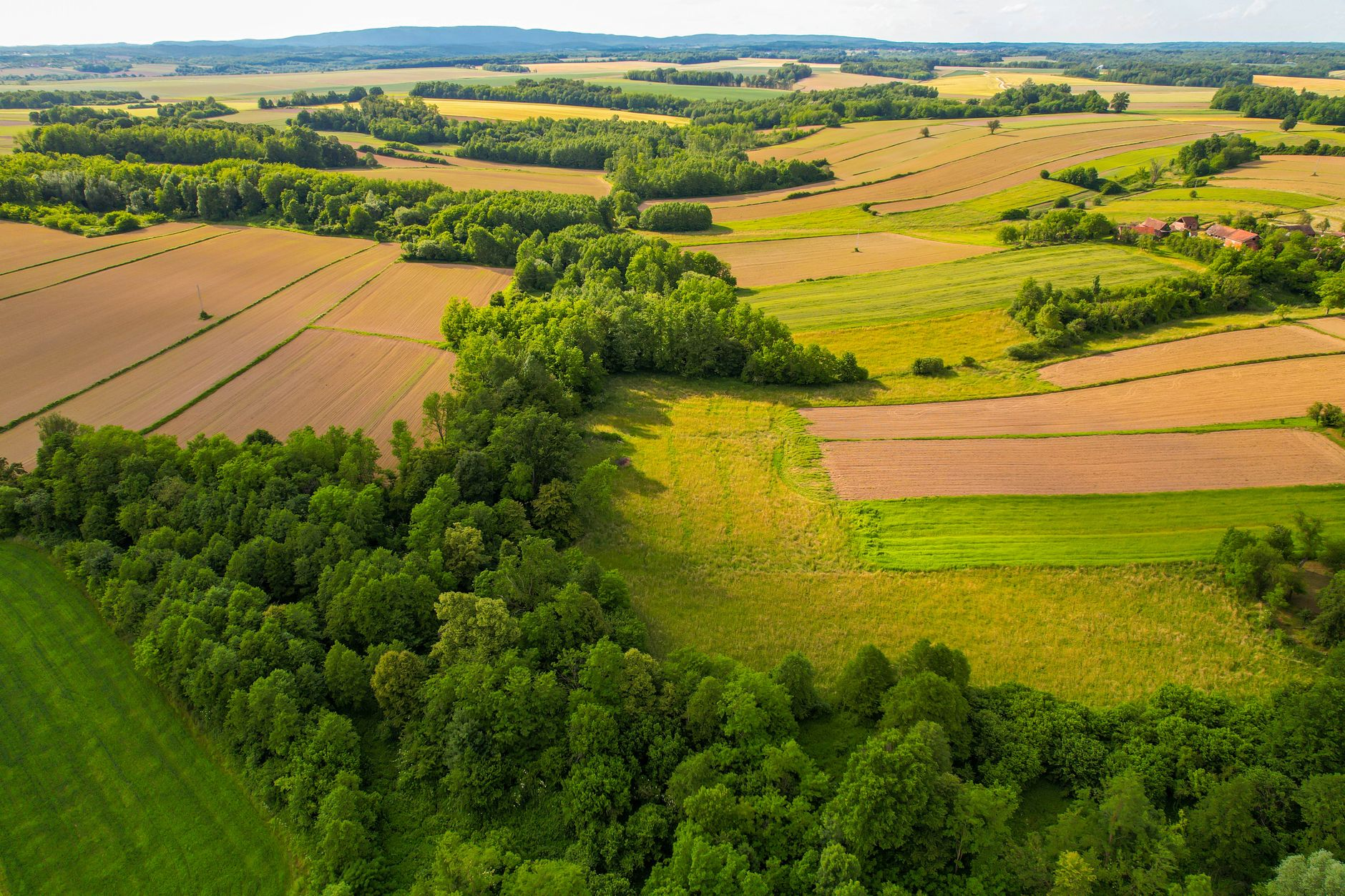 birds eye view of countryside